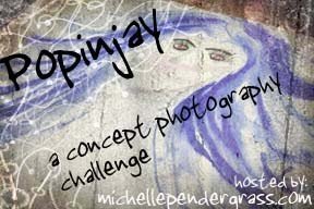 popinjay
